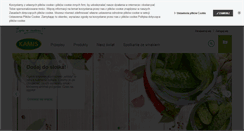 Desktop Screenshot of kamis.pl