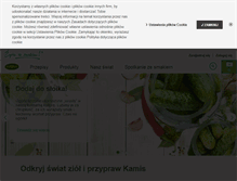 Tablet Screenshot of kamis.pl